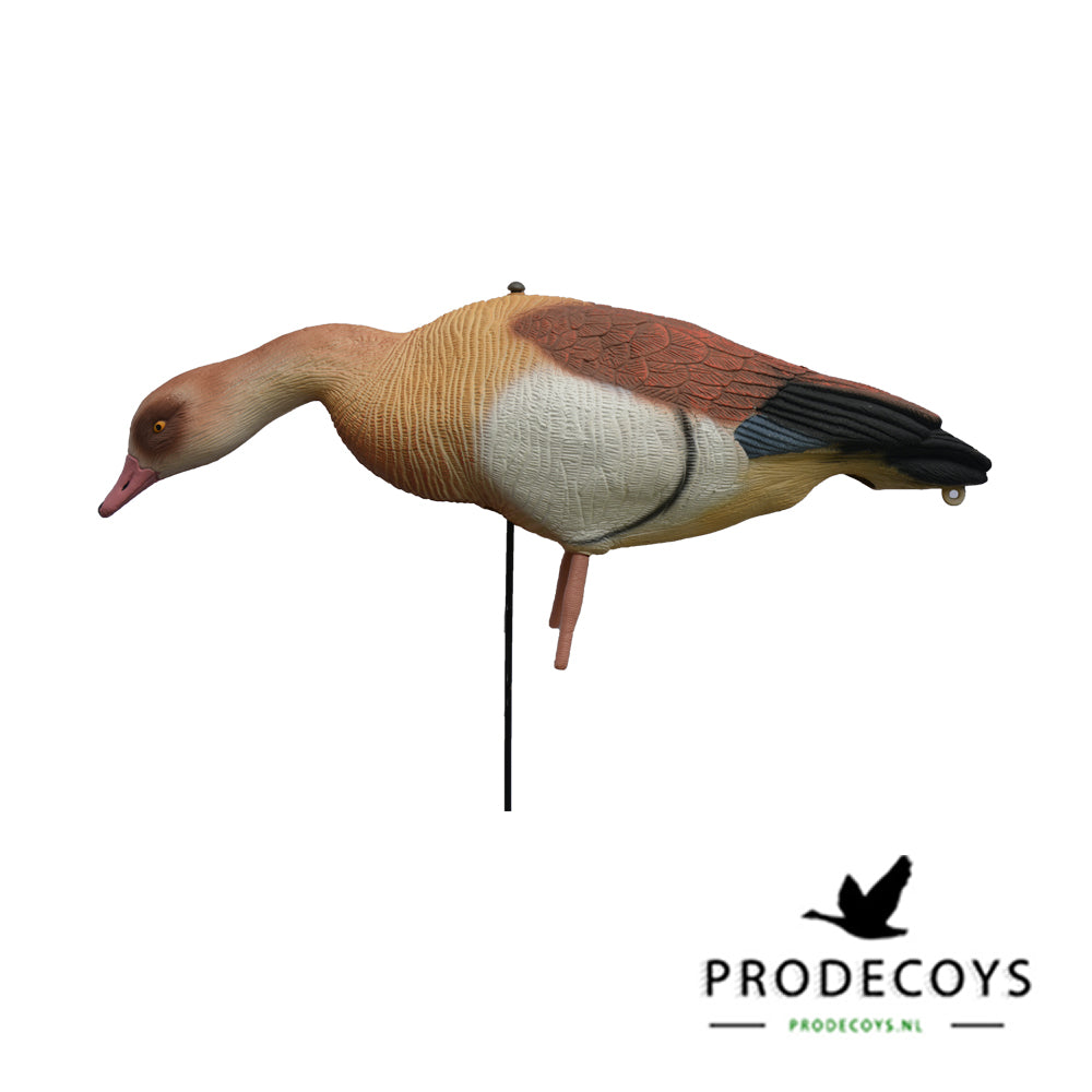 Premium Nilgans Lockgänse Set 12 Stück | Realistische Flugwild Attrappen für erfolgreiche Jagd