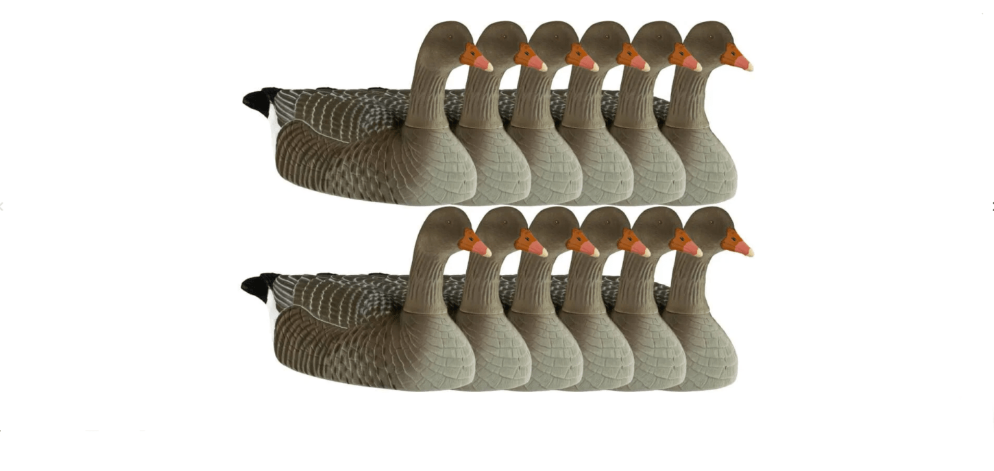 Realistische Beflockte Graugans Lockgänse Halbschalen Set – 12 Stück Jagd