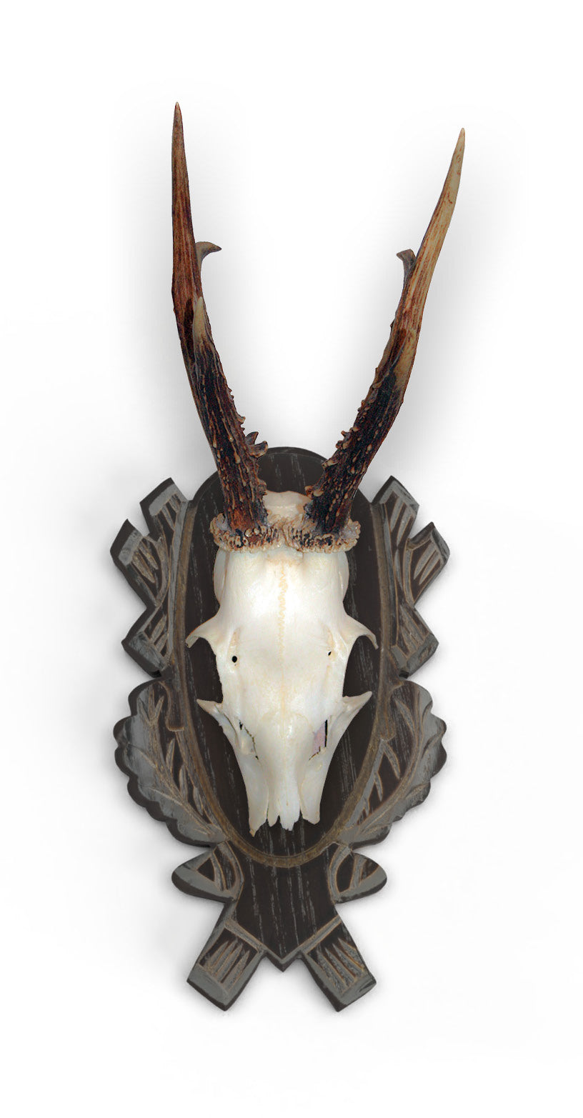 Rehbockbrett Eiche geschnitzt dunkel 10er Set inkl. Montageklammern