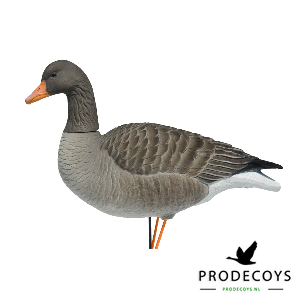 Elite Graugans Lockvögel Set: 6 beflockte, realistische Gänse für erfolgreiche Jagd