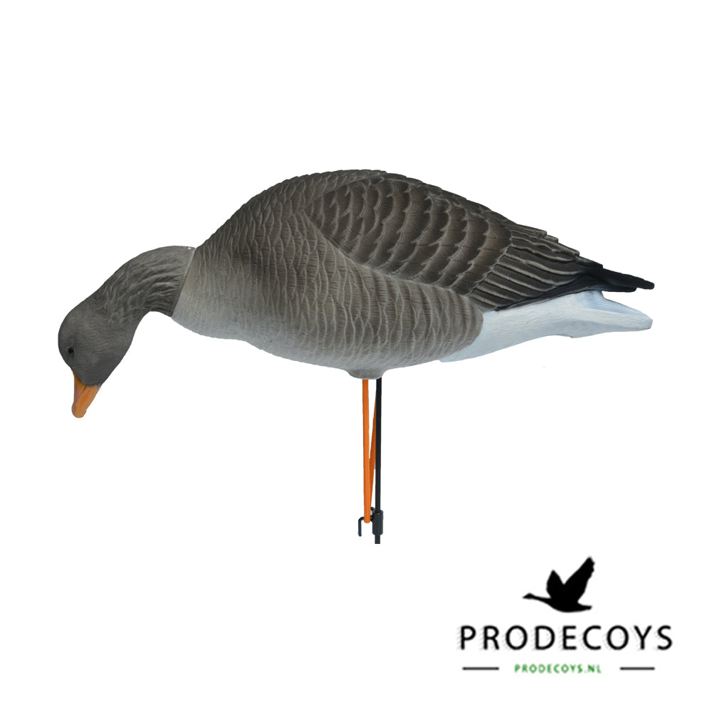 Elite Graugans Lockvögel Set: 6 beflockte, realistische Gänse für erfolgreiche Jagd