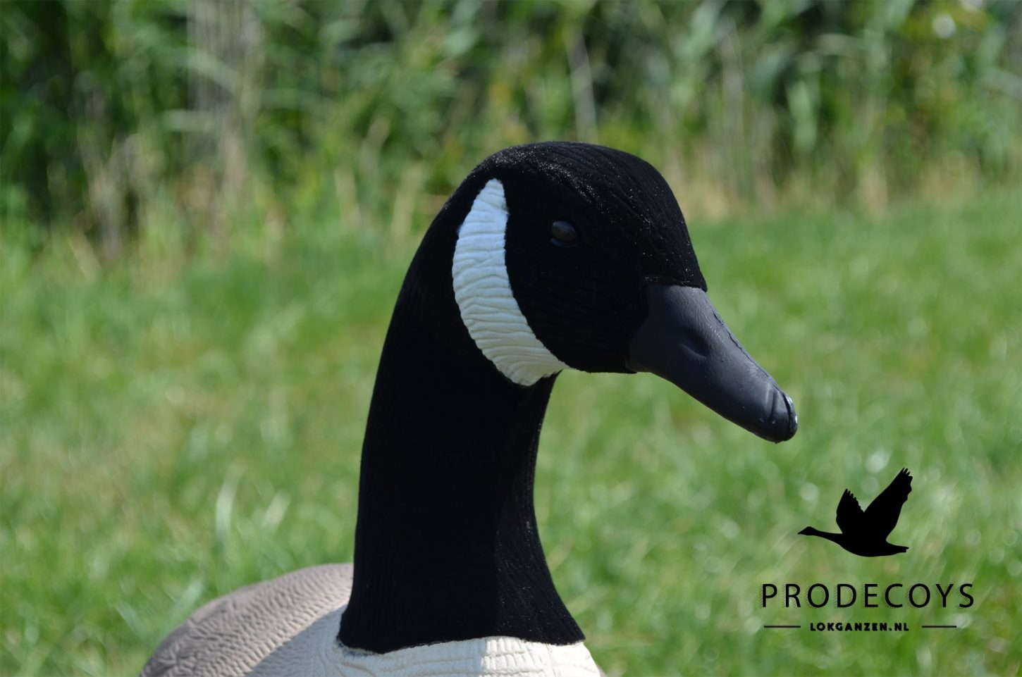 Realistische Kanadagans Lockgänse Vollkörper Set – 12 Stück für erfolgreiche Jagd