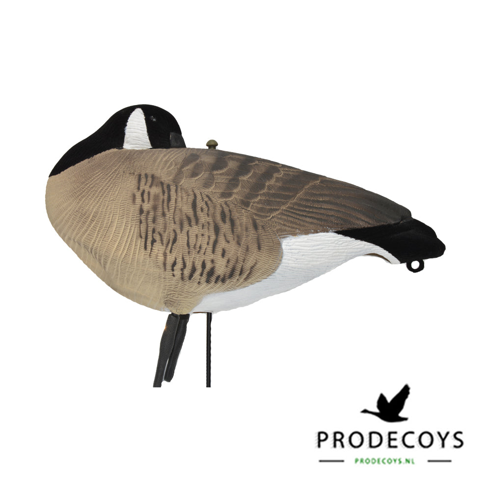 Realistische Kanadagans Lockgänse 6er Set Vollkörper Robust Windbeweglich Jagd Entenköder