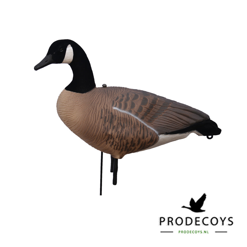 Realistische Kanadagans Lockgänse Vollkörper Set – 12 Stück für erfolgreiche Jagd