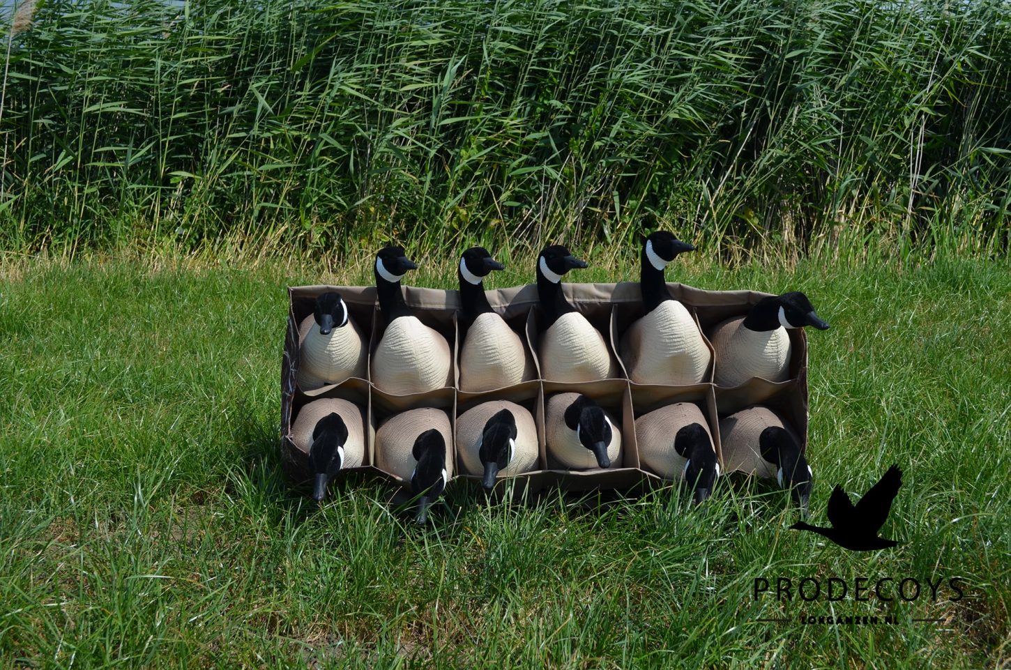 Realistische Kanadagans Lockgänse 6er Set Vollkörper Robust Windbeweglich Jagd Entenköder