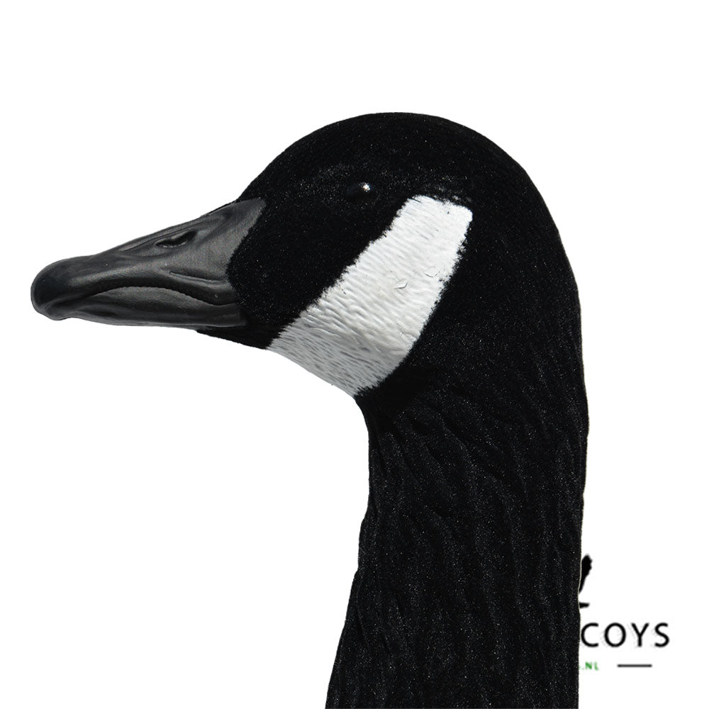 Elite Serie Kanada Lockgänse Set – 6 Lebensechte Gänseattrappen für Gänsejagd