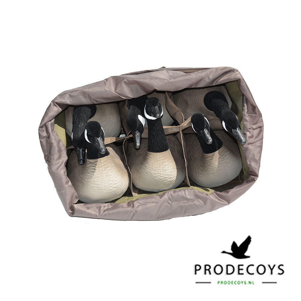 Elite Serie Kanada Lockgänse Set – 6 Lebensechte Gänseattrappen für Gänsejagd