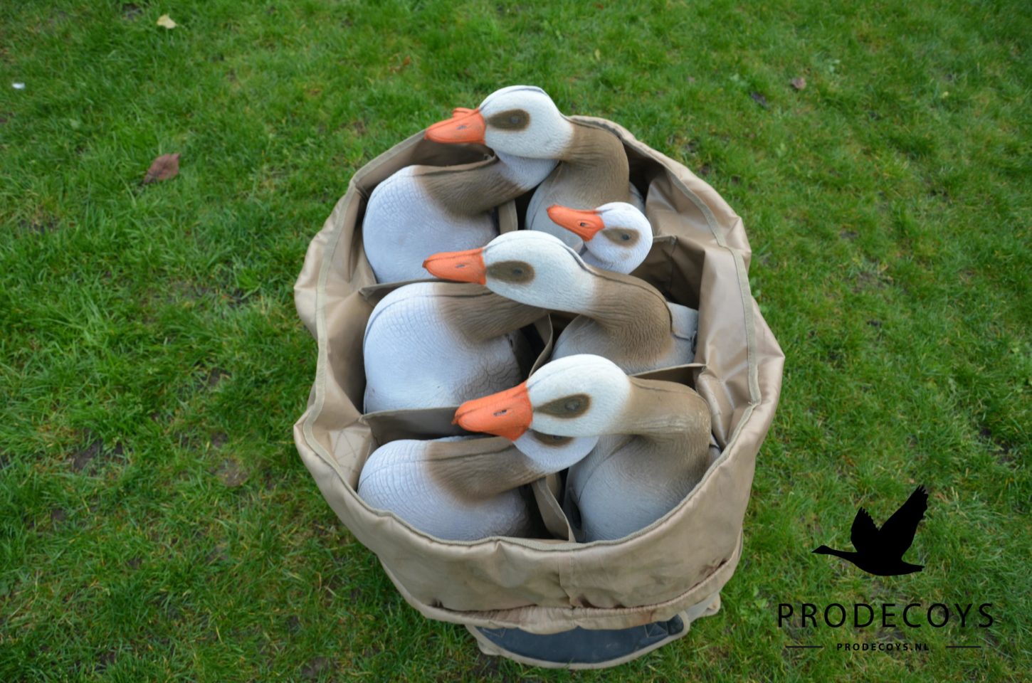 Premium Realistische Nilgans Lockgänse Harvester Pack 12 Stück Faltbar Leicht