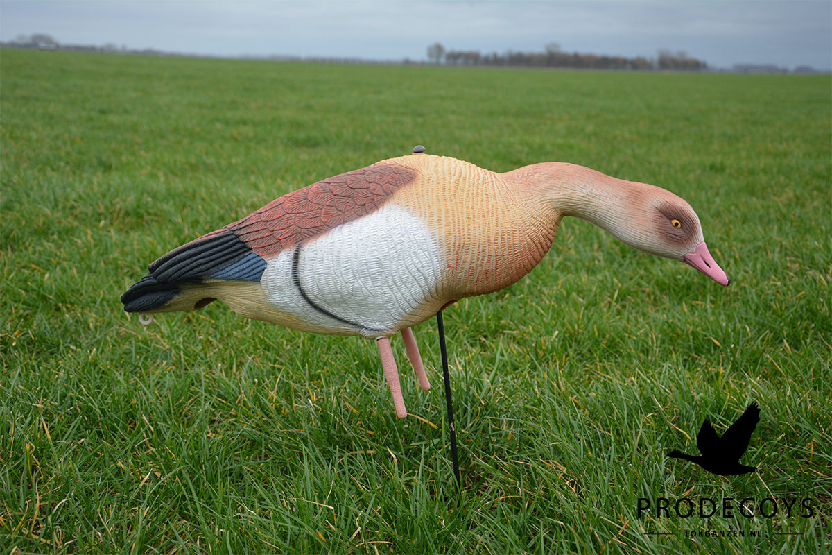 Realistische Nilgans Vollkörper Lockgänse Set – Robust, Detailreich, Windbewegt für Erfolgreiche Jagd