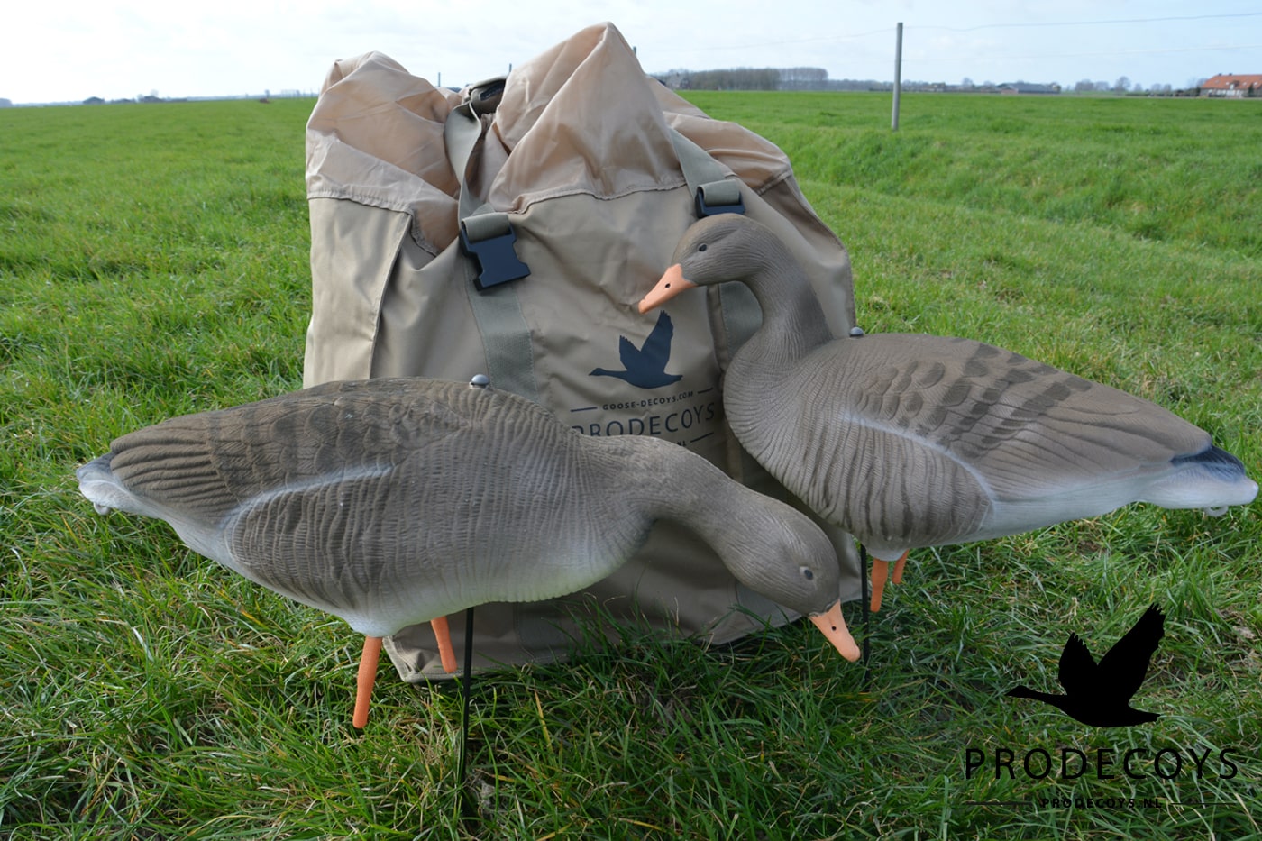 Realistisches beflocktes Graugans Lockvögel Set – 6 Stück für erfolgreiche Gänsejagd