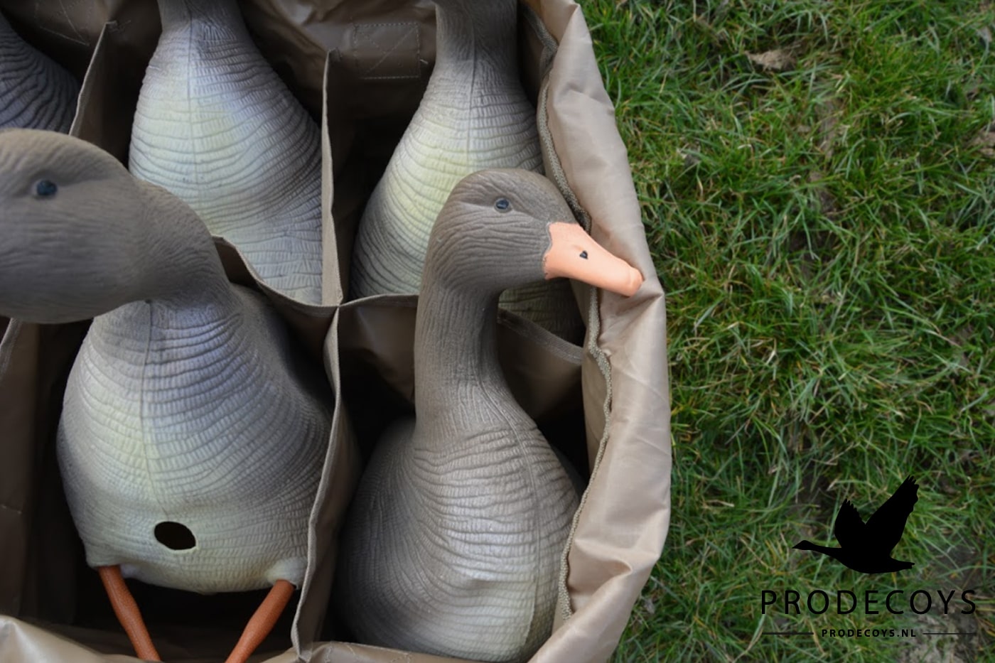 Realistisches beflocktes Graugans Lockvögel Set – 6 Stück für erfolgreiche Gänsejagd