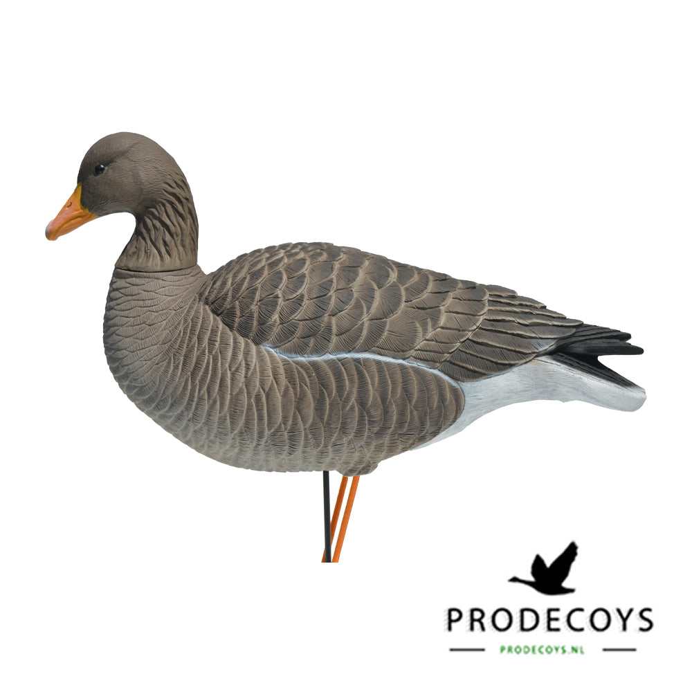 Prodecoys Elite Serie Graugans Lockgänse Set – 6 naturgetreue Lockvögel mit Tasche