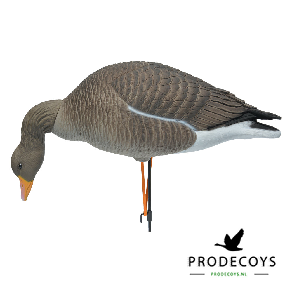 Elite Serie Graugans Lockvögel Set: 6 Naturgetreue, Flexible Gänse mit Drehköpfen