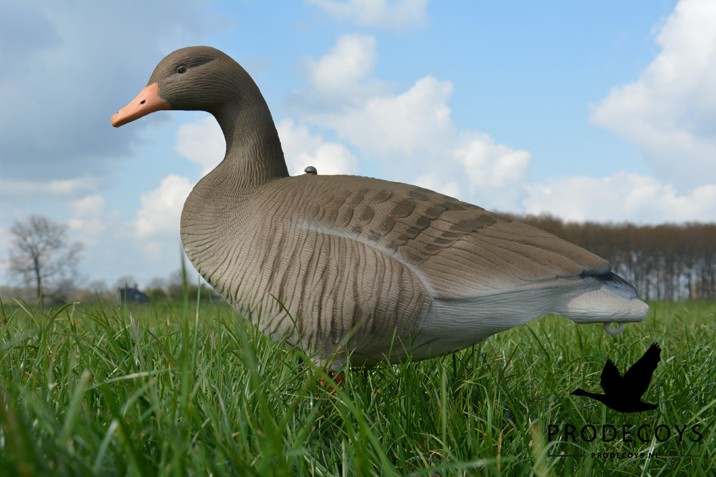 Realistisches beflocktes Graugans Lockvögel Set – 6 Stück für erfolgreiche Gänsejagd