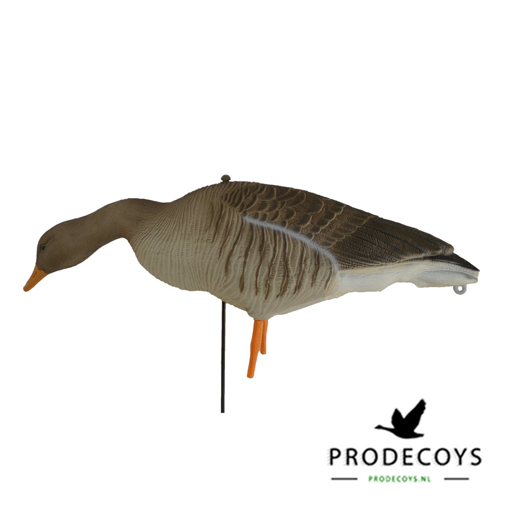 Realistische Graugans Lockgänse 12er Set: Robuste, flexible Attrappen für Jagderfolg