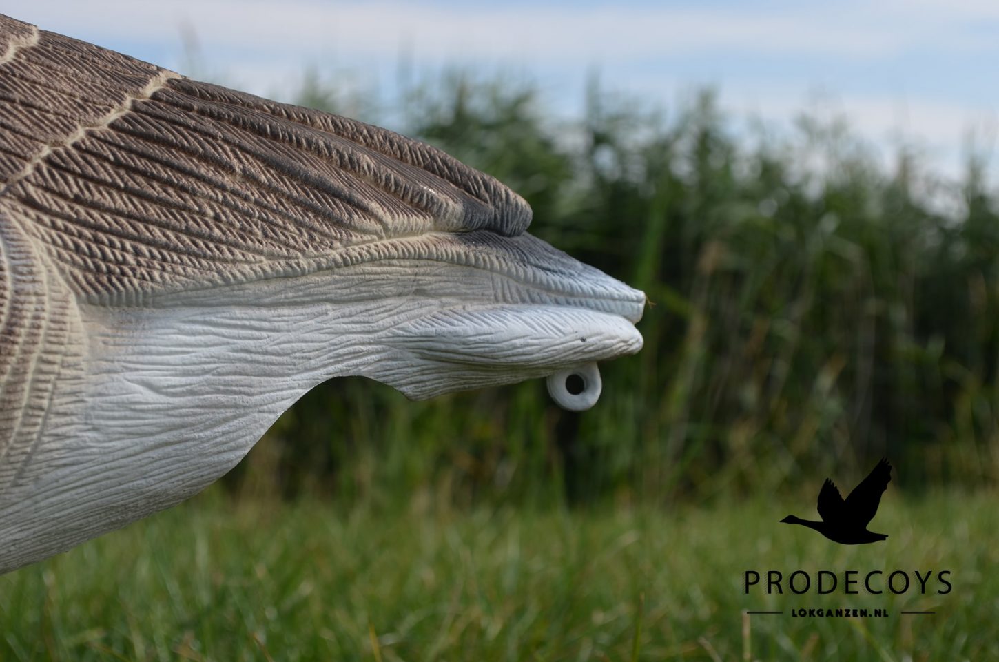 Realistische Kanadagans Lockgänse 6er Set Vollkörper Robust Windbeweglich Jagd Entenköder