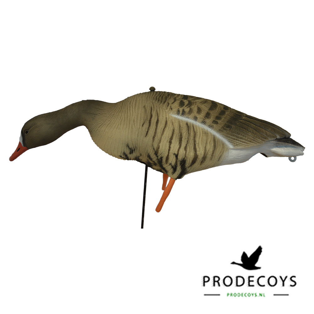 Realistische Blässgans Vollkörper Lockgänse Set – 12 Stück für erfolgreiche Jagd