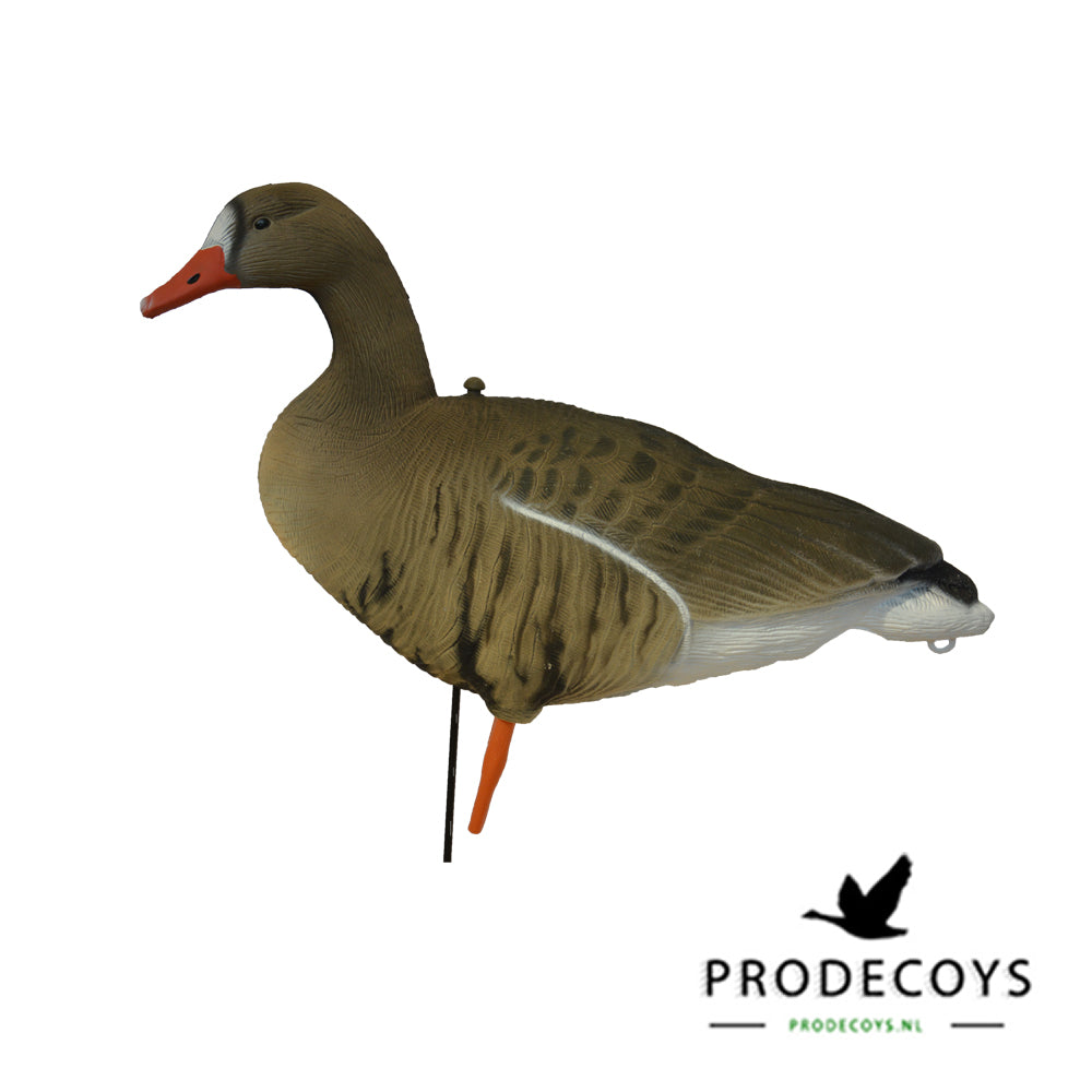 Realistische Blässgans Vollkörper Lockgänse Set – 12 Stück für erfolgreiche Jagd