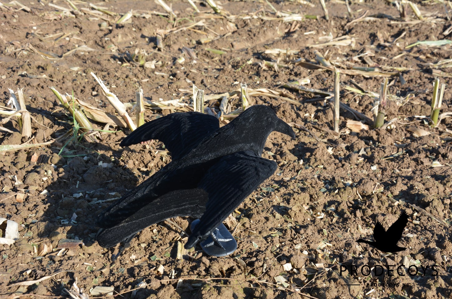 Realistische Beflockte Fliegende Lockkrähe mit Ständer für Effektive Krähenjagd