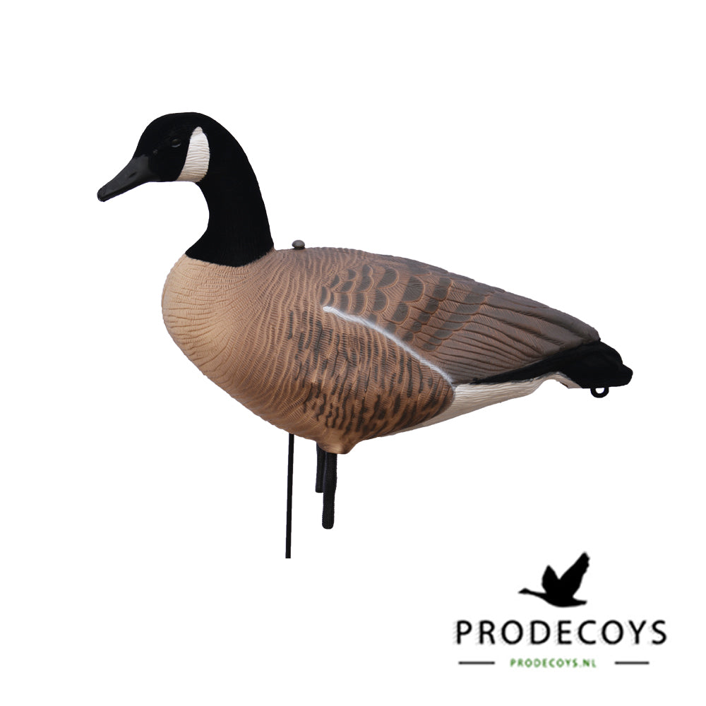 Realistische Kanadagans Lockgänse 6er Set Vollkörper Robust Windbeweglich Jagd Entenköder