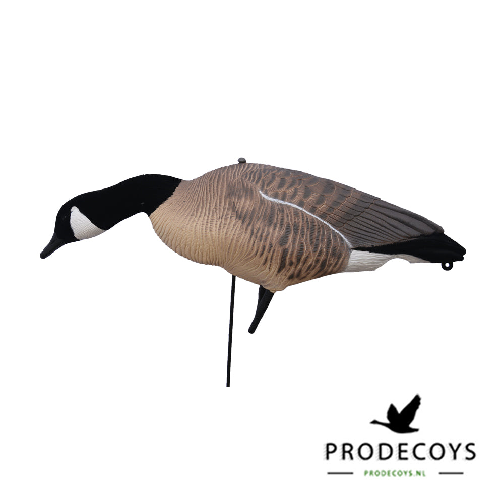 Realistische Kanadagans Lockgänse 6er Set Vollkörper Robust Windbeweglich Jagd Entenköder
