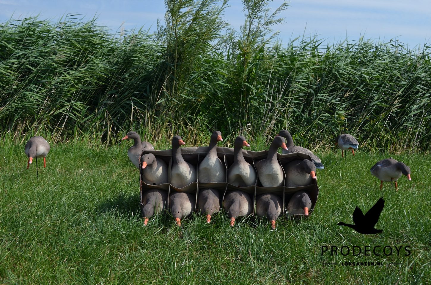 Realistische Graugans Lockgänse 12er Set: Robuste, flexible Attrappen für Jagderfolg