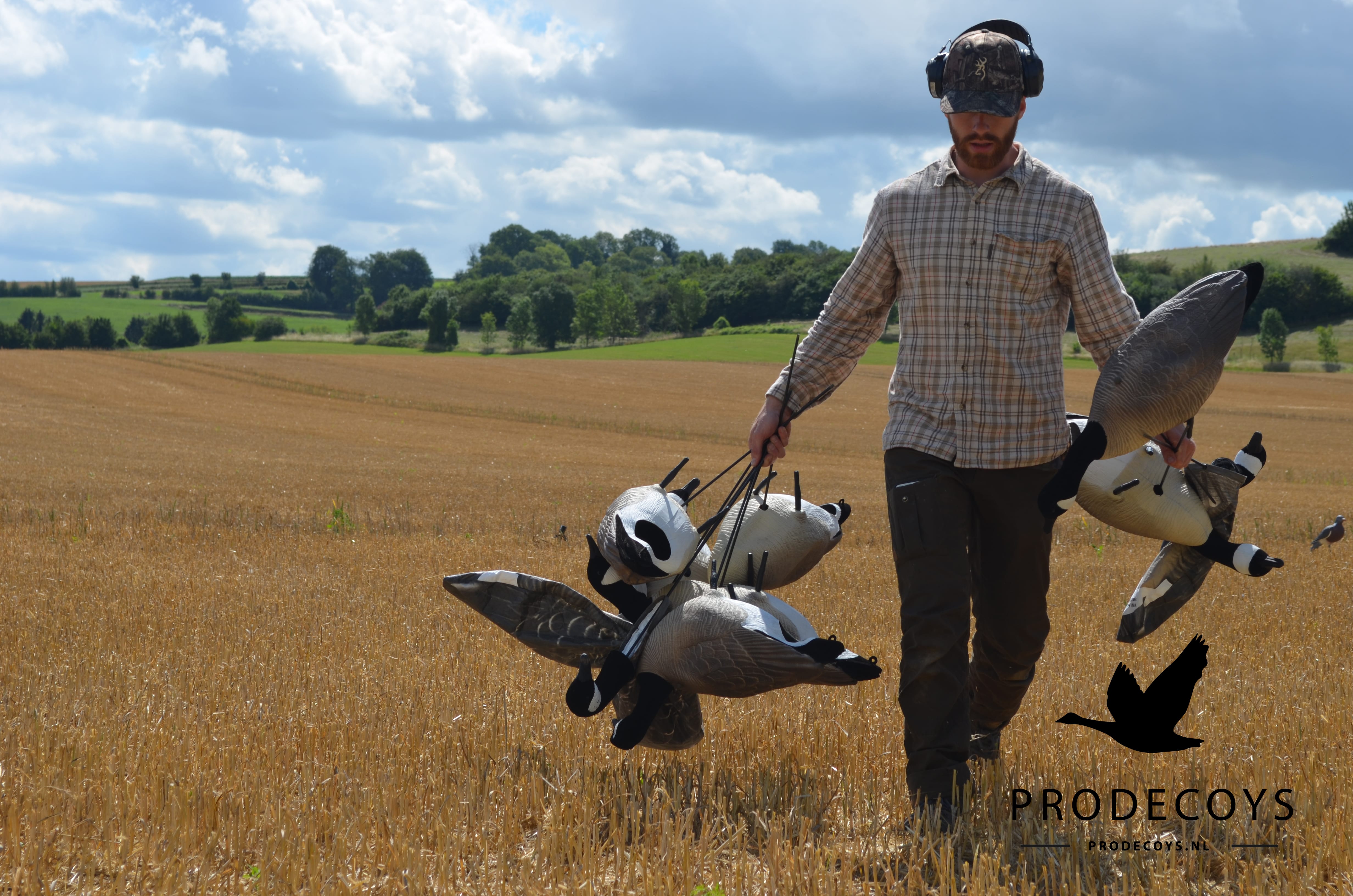 Realistische Kanadagans Lockgänse 6er Set Vollkörper Robust Windbeweglich Jagd Entenköder