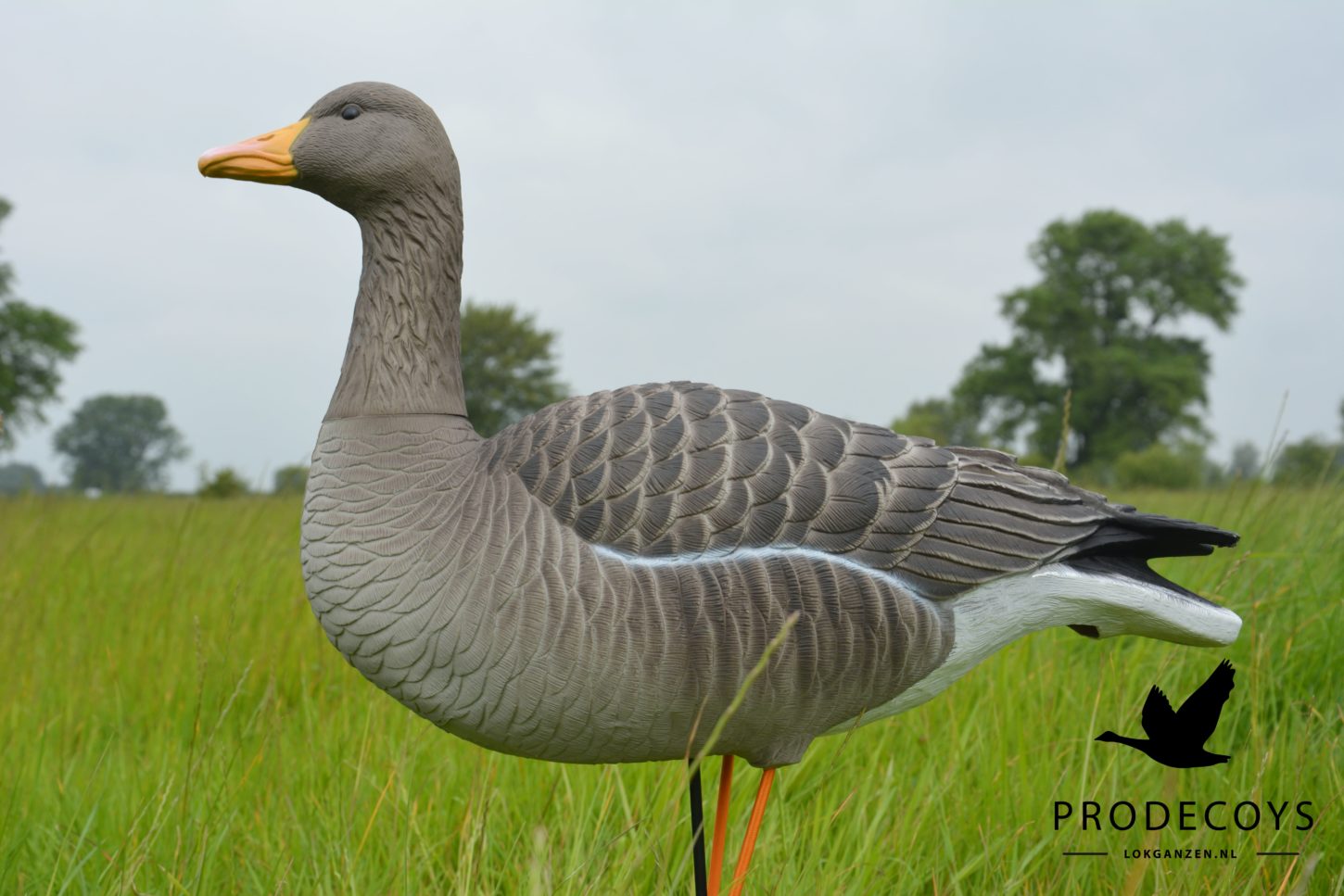 Prodecoys Elite Serie Graugans Lockgänse Set – 6 naturgetreue Lockvögel mit Tasche