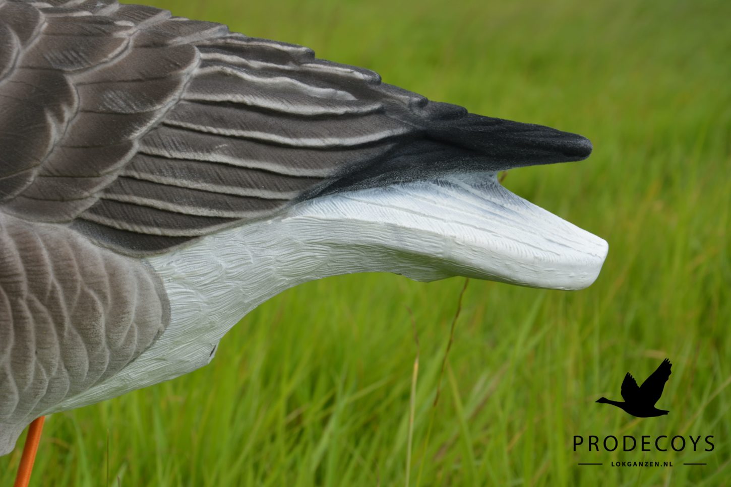 Elite Graugans Lockvögel Set: 6 beflockte, realistische Gänse für erfolgreiche Jagd