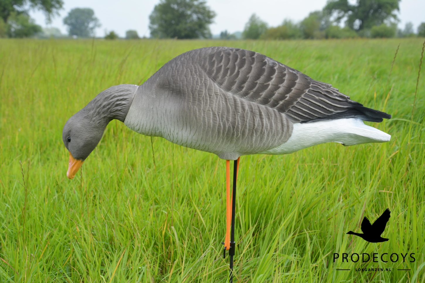 Elite Graugans Lockvögel Set: 6 beflockte, realistische Gänse für erfolgreiche Jagd