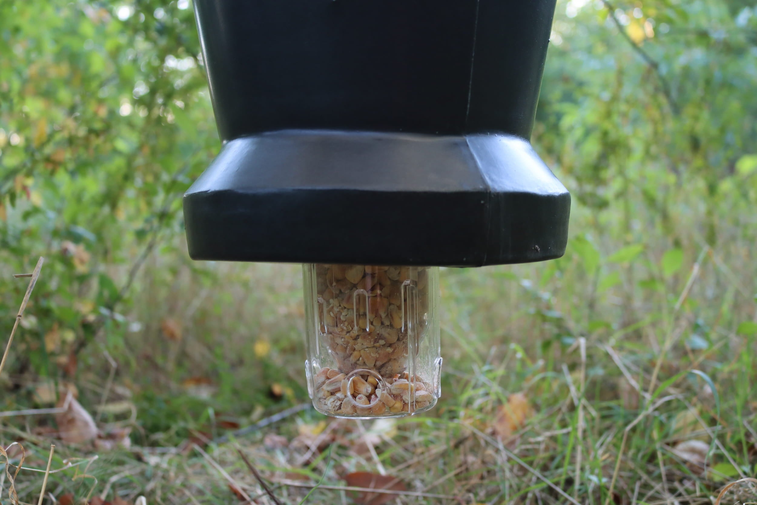 Eurohunt Universal-Futterspender für Fasane Rebhühner und Geflügel transparent verstellbar