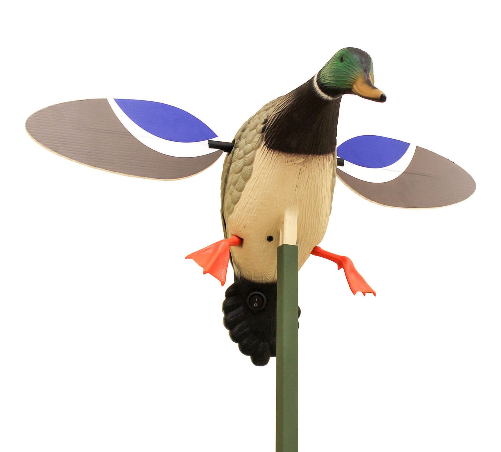 MOJO Baby Drake Realistische Lockente mit rotierenden Flügeln und 6V Batterie