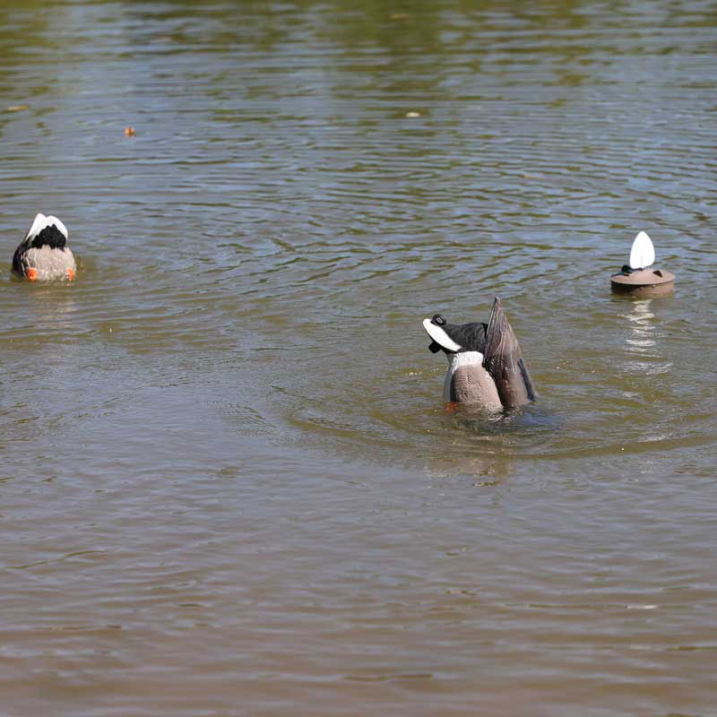 MOJO Mallard Machine UN3481 Hochwertiger Entenlocker für die erfolgreiche Lockjagd