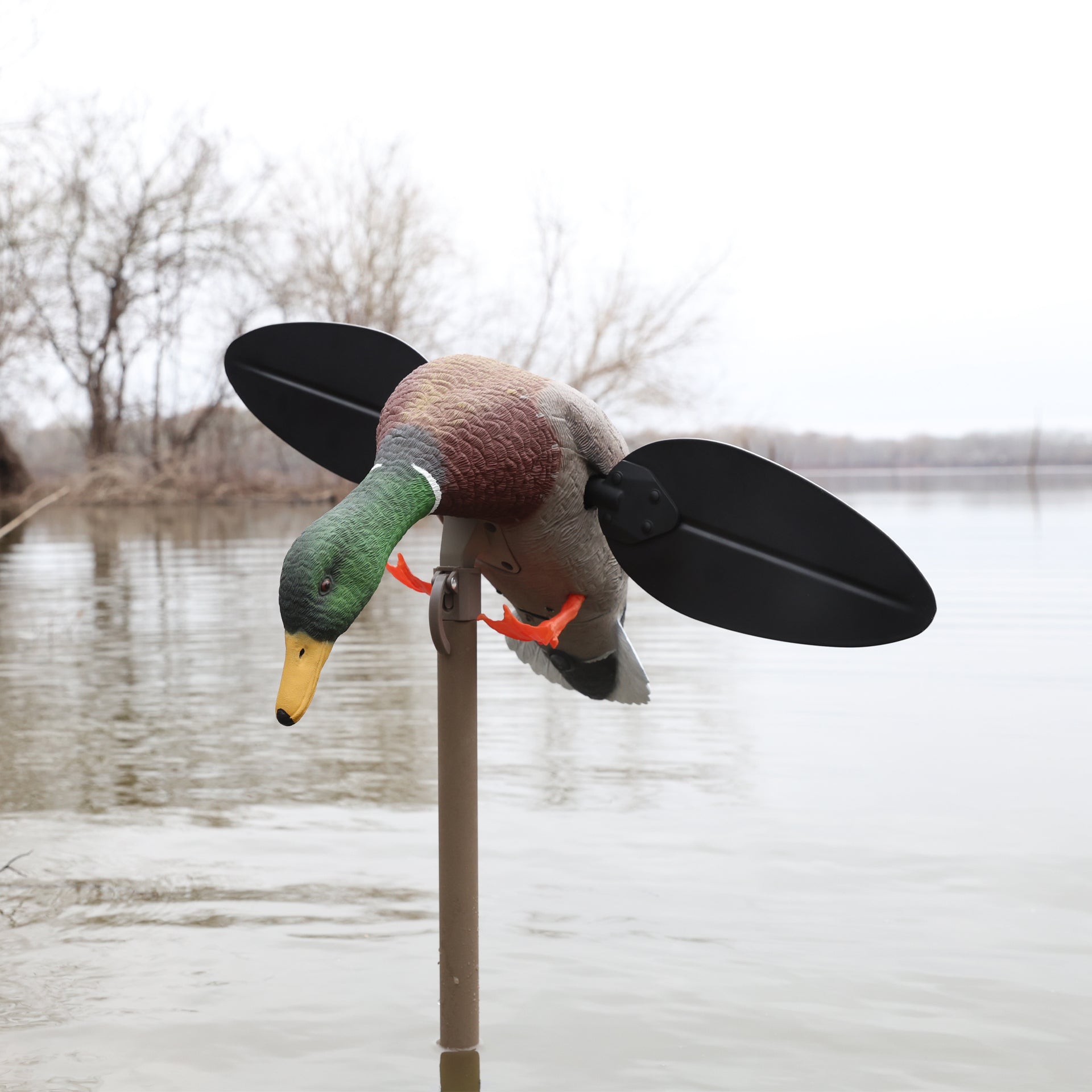 MOJO Mallard Lite Realistische Lockente mit Rotierenden Magnetischen Flügeln