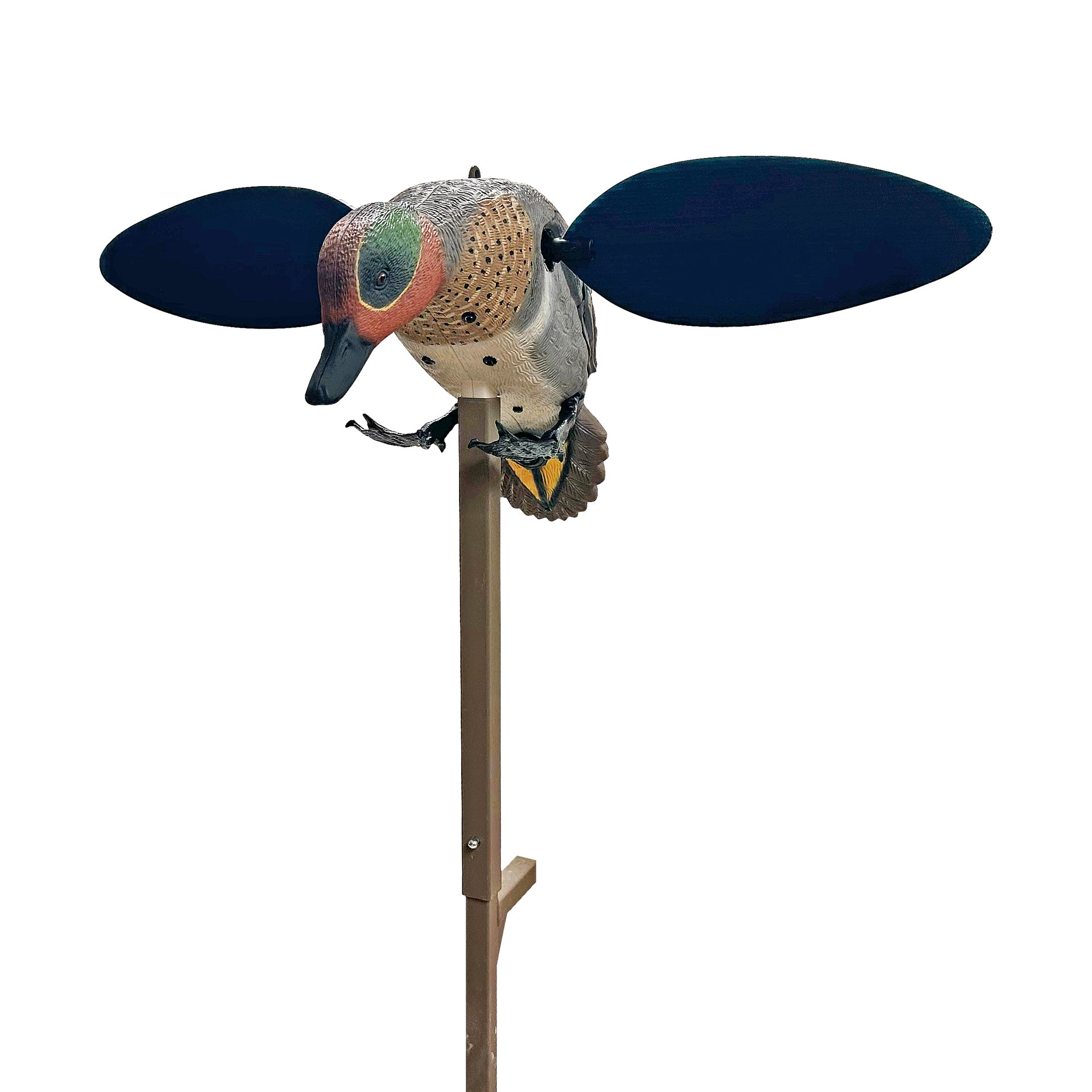 MOJO Green Wing Teal Krickente Lockvogel mit rotierenden Flügeln