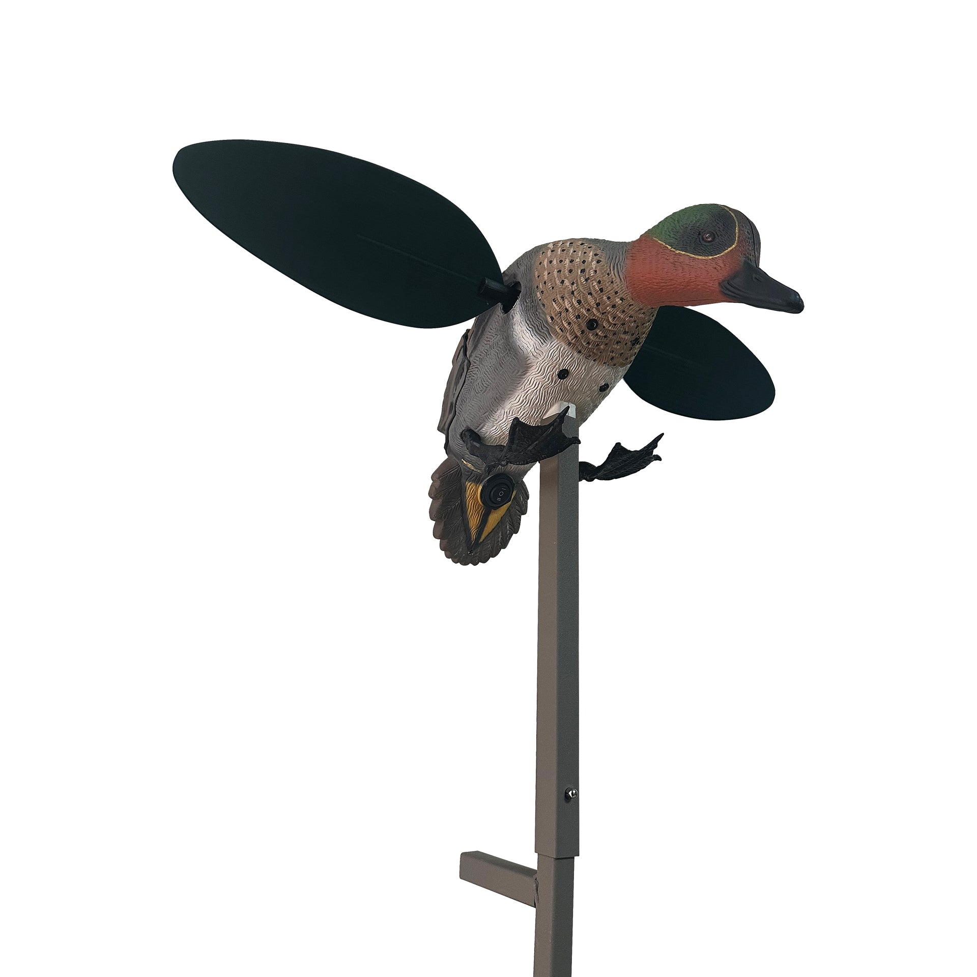 MOJO Green Wing Teal Krickente Lockvogel mit rotierenden Flügeln