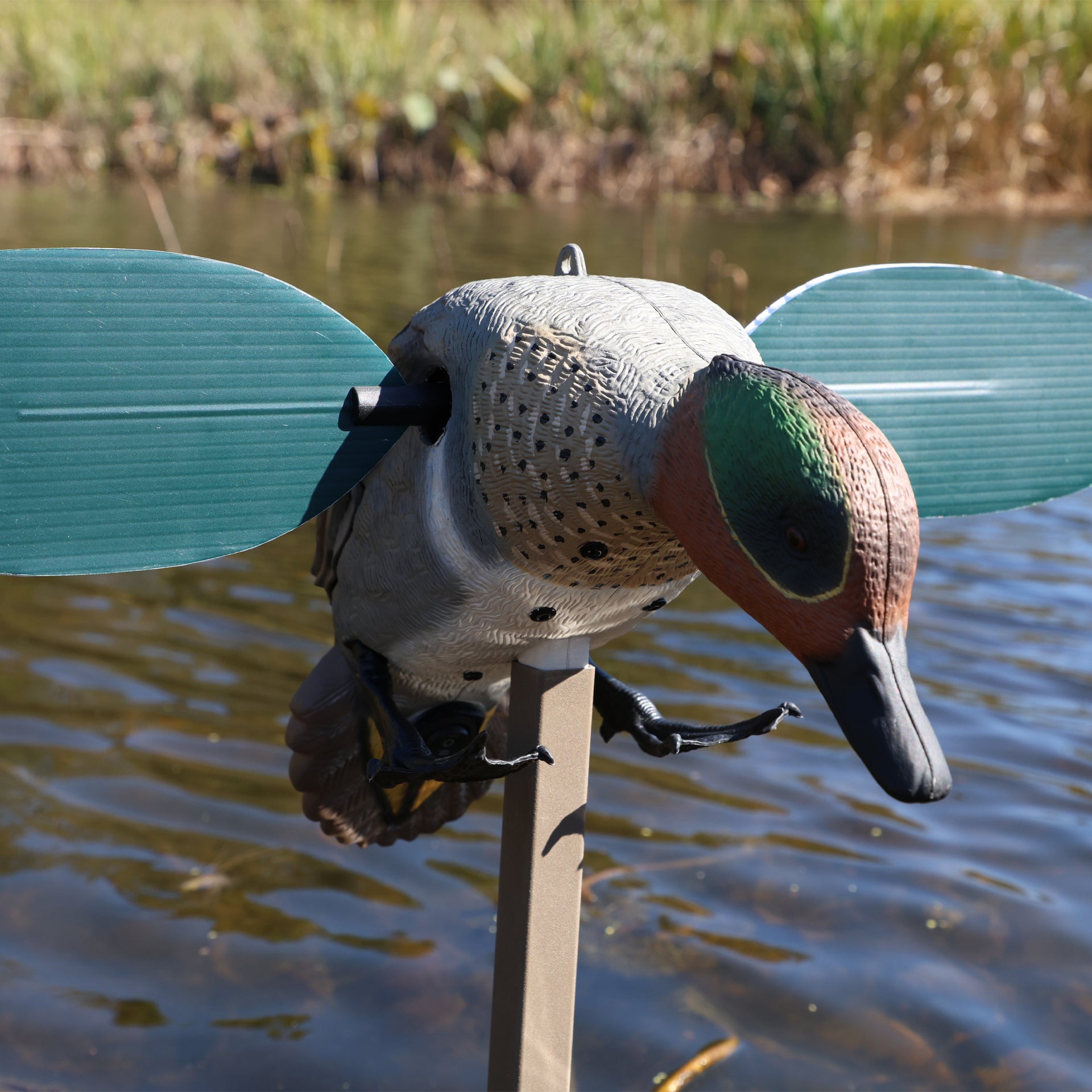MOJO Green Wing Teal Krickente Lockvogel mit rotierenden Flügeln