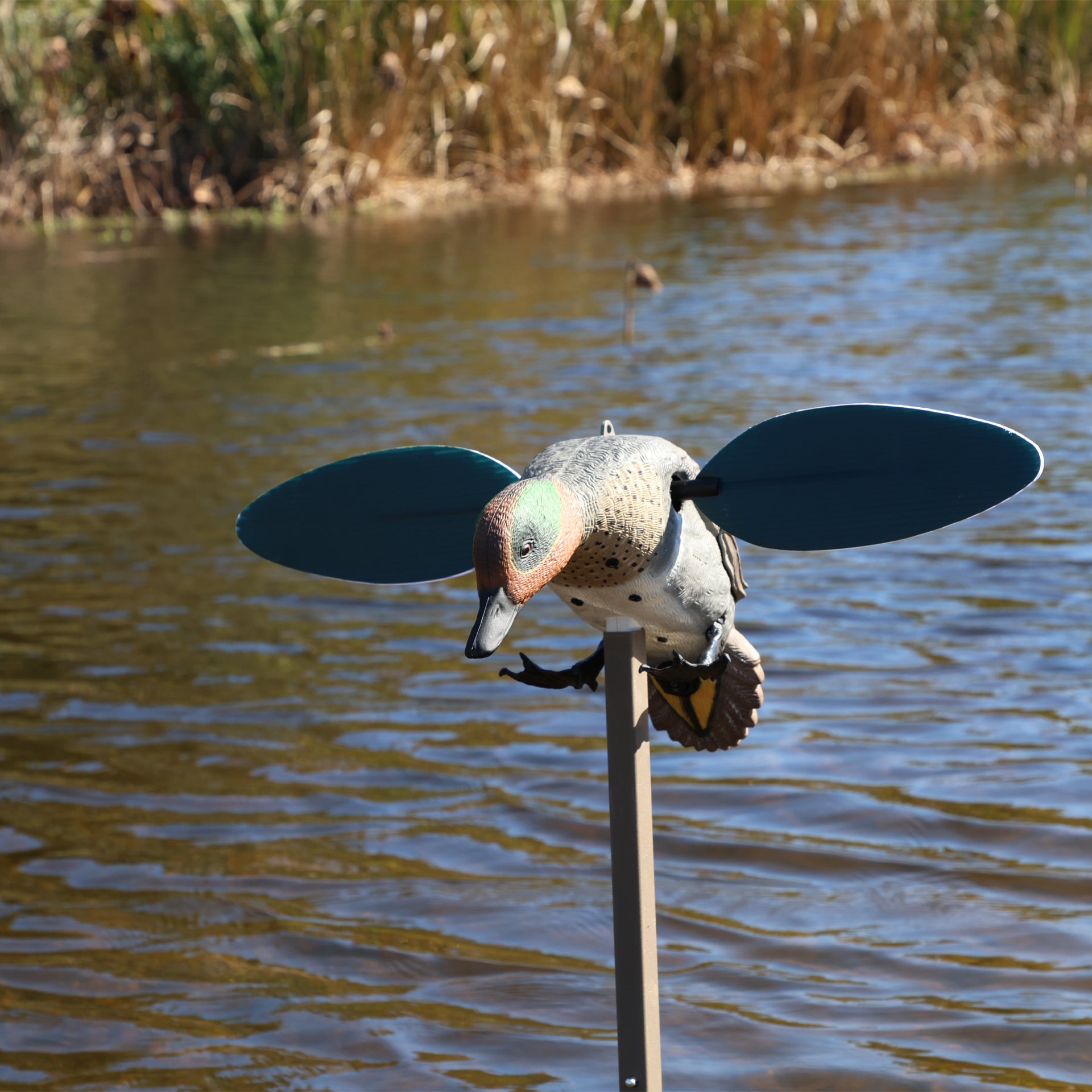 MOJO Green Wing Teal Krickente Lockvogel mit rotierenden Flügeln