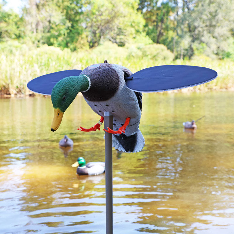 MOJO Silver Mallard 25th Anniversary Lockvogel mit rotierenden Flügeln