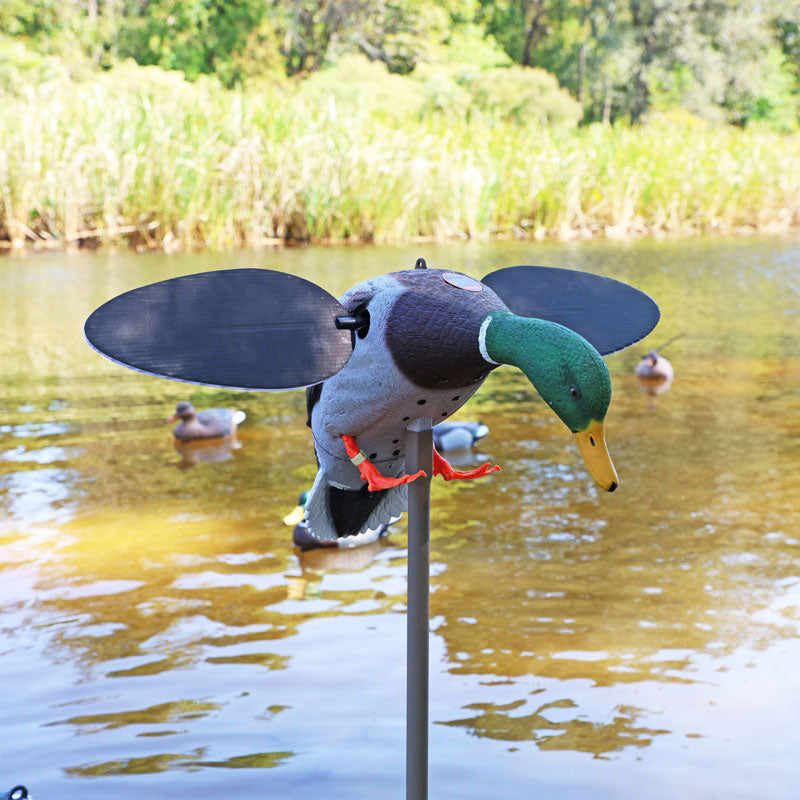 MOJO Silver Mallard 25th Anniversary Lockvogel mit rotierenden Flügeln