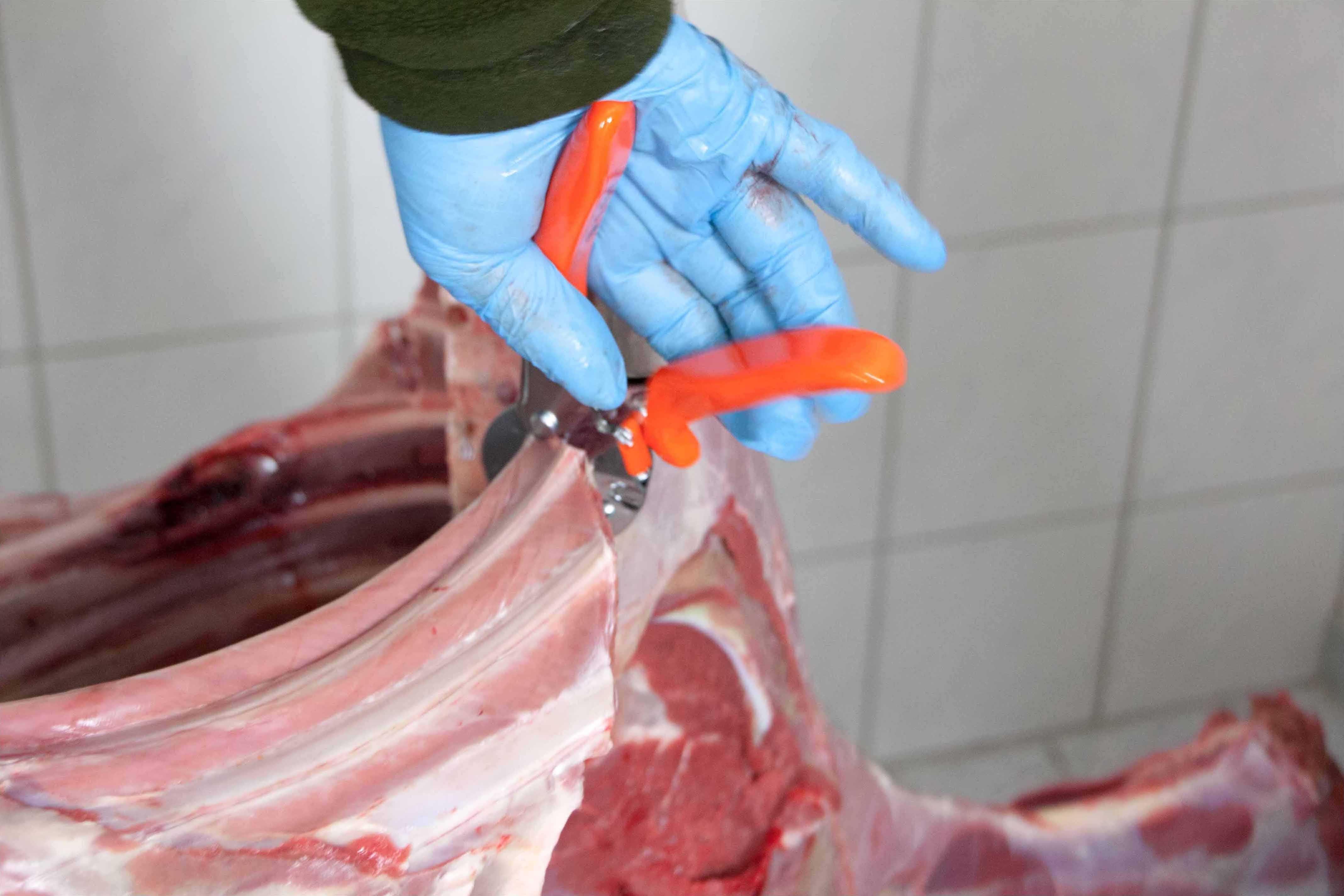 Profi LÖWE Jagdschere 21 cm für müheloses Aufbrechen und Zerwirken