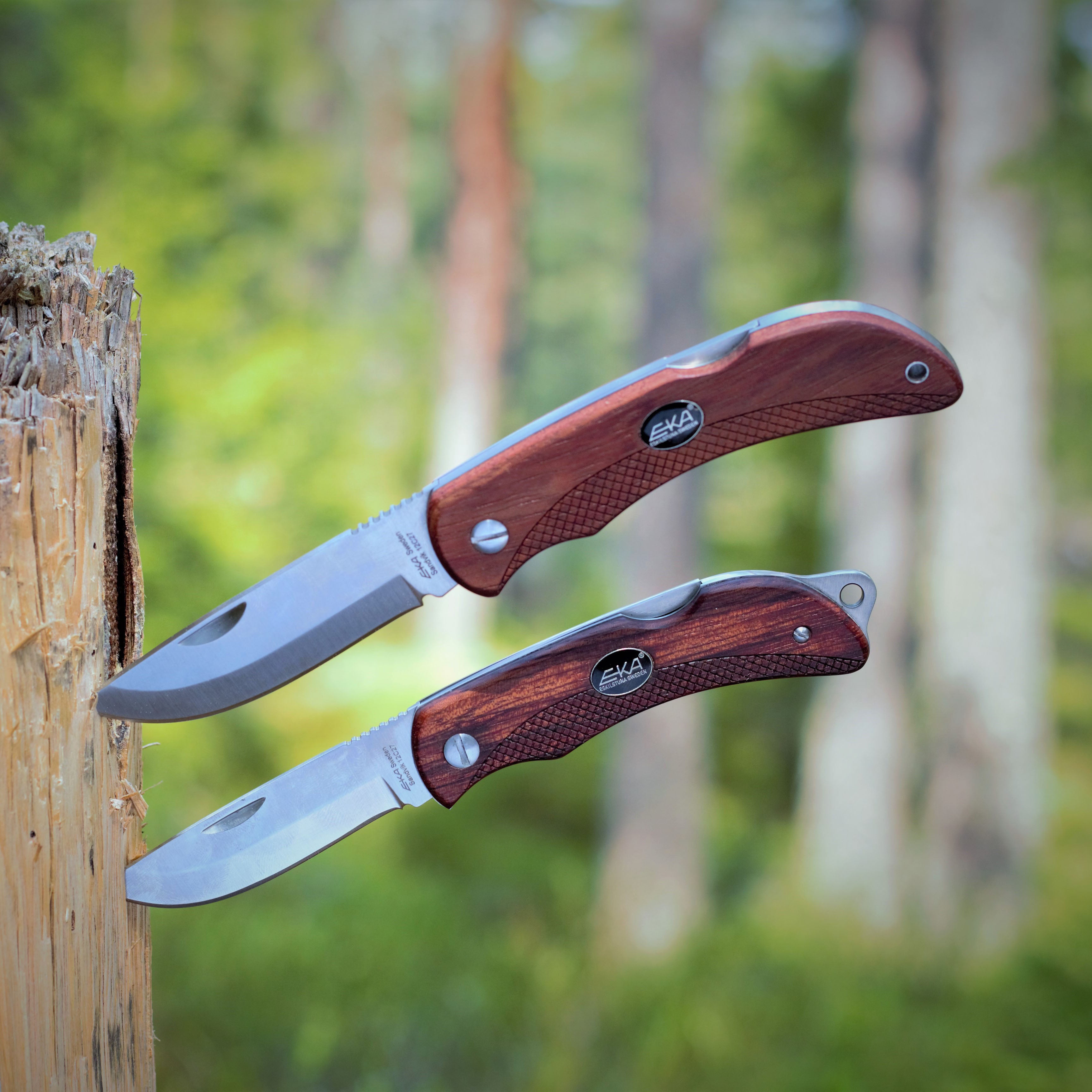 EKA Swede 10 Wood Klappmesser mit Bubingaholz-Griff und Sandvik-Klinge