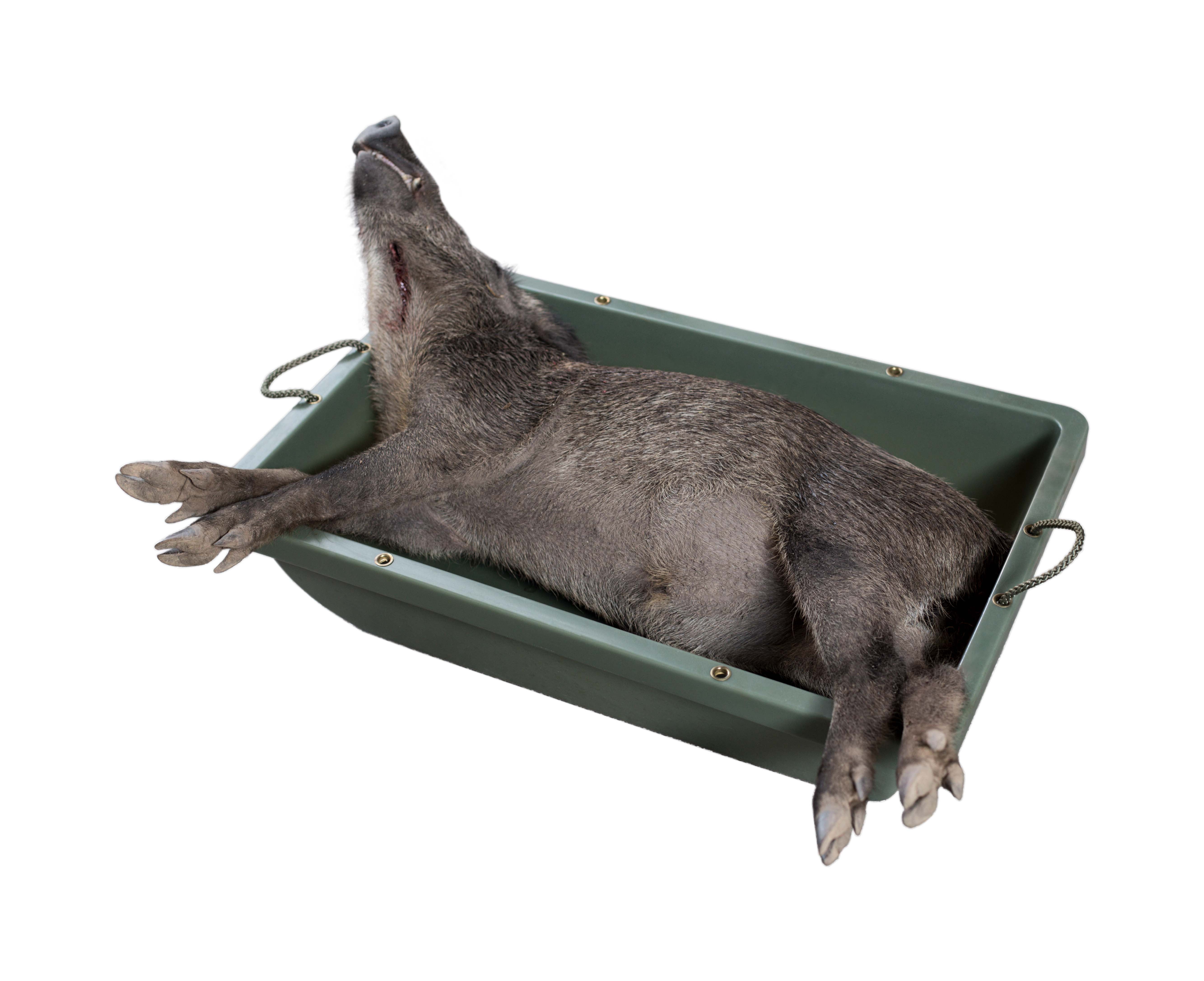 Robuste EUROHUNT Forstwanne Wildwanne mit Schlittenbug Orange 90cm