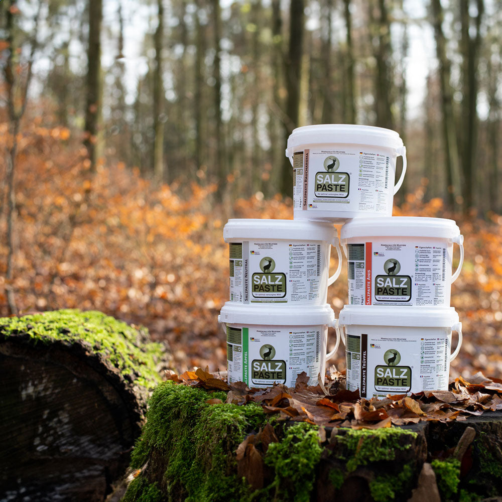 Eurohunt Deusa Salzpaste Neutral 2 kg Eimer Wildlockmittel für Reviere