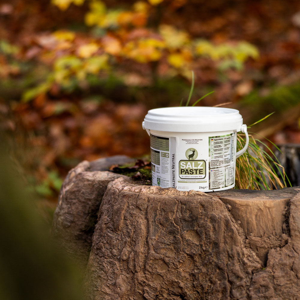 Eurohunt Deusa Salzpaste Neutral 2 kg Eimer Wildlockmittel für Reviere