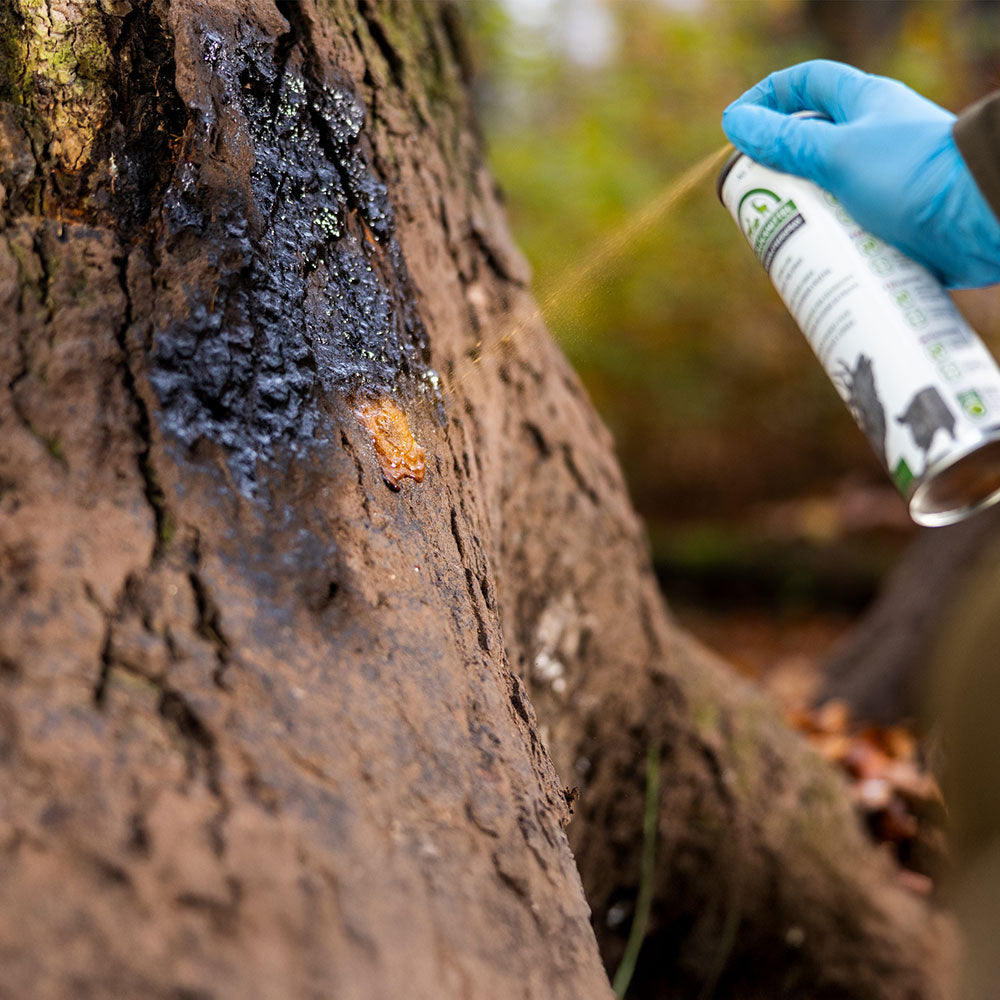 Eurohunt Buchenholzteer 500ml Spraydose Lockmittel für Schwarzwild und Rotwild