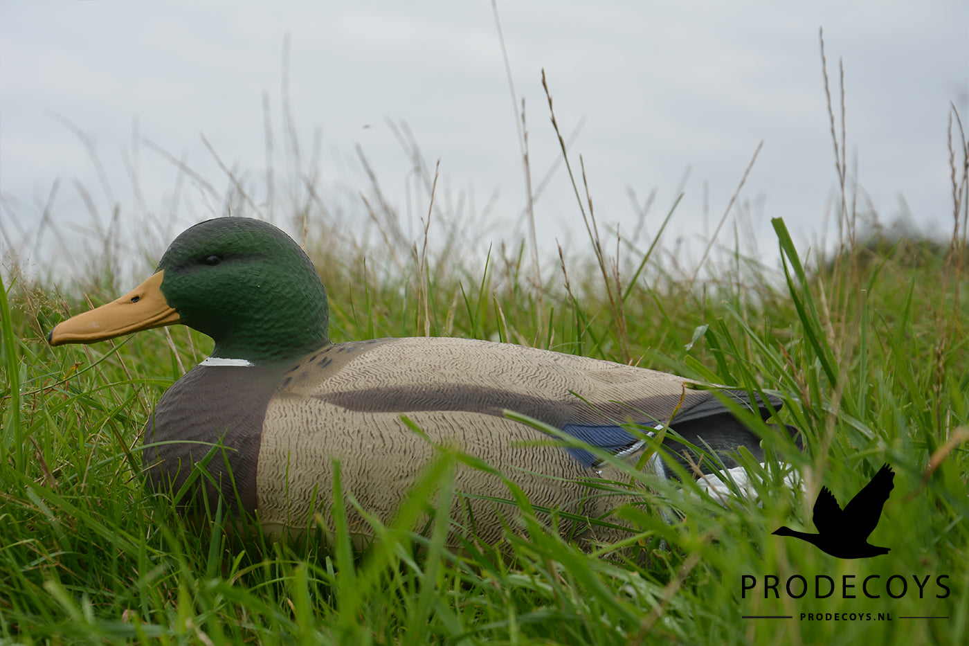 Realistische Vollkörper Schwimmenten Lockvögel Set 6 Stück für Entenjagd 41cm