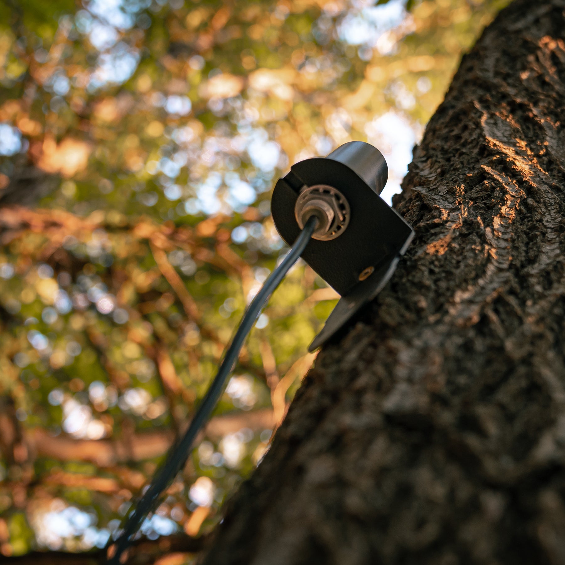 SPYPOINT CA-01 Langstrecken-Mobilfunkantenne für Wildkameras mit 4,6m Kabel