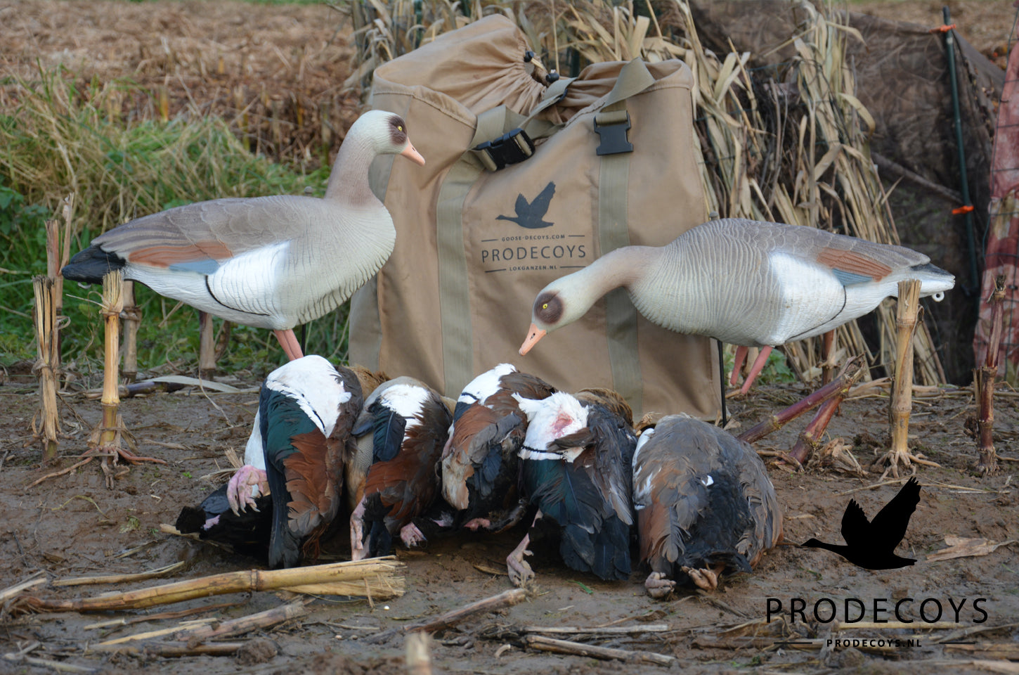 Premium Nilgans Lockgänse Set: 6 Ultra-Realistische Vollkörper für Erfolgreiche Jagd
