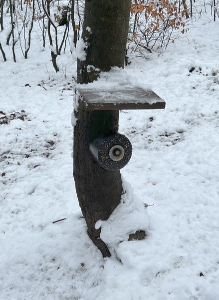 Wildlutscher Spezial-Leckstein Dunkelmais: Unwiderstehliche Anziehung für Schalen-, Raub- & Schwarzwild
